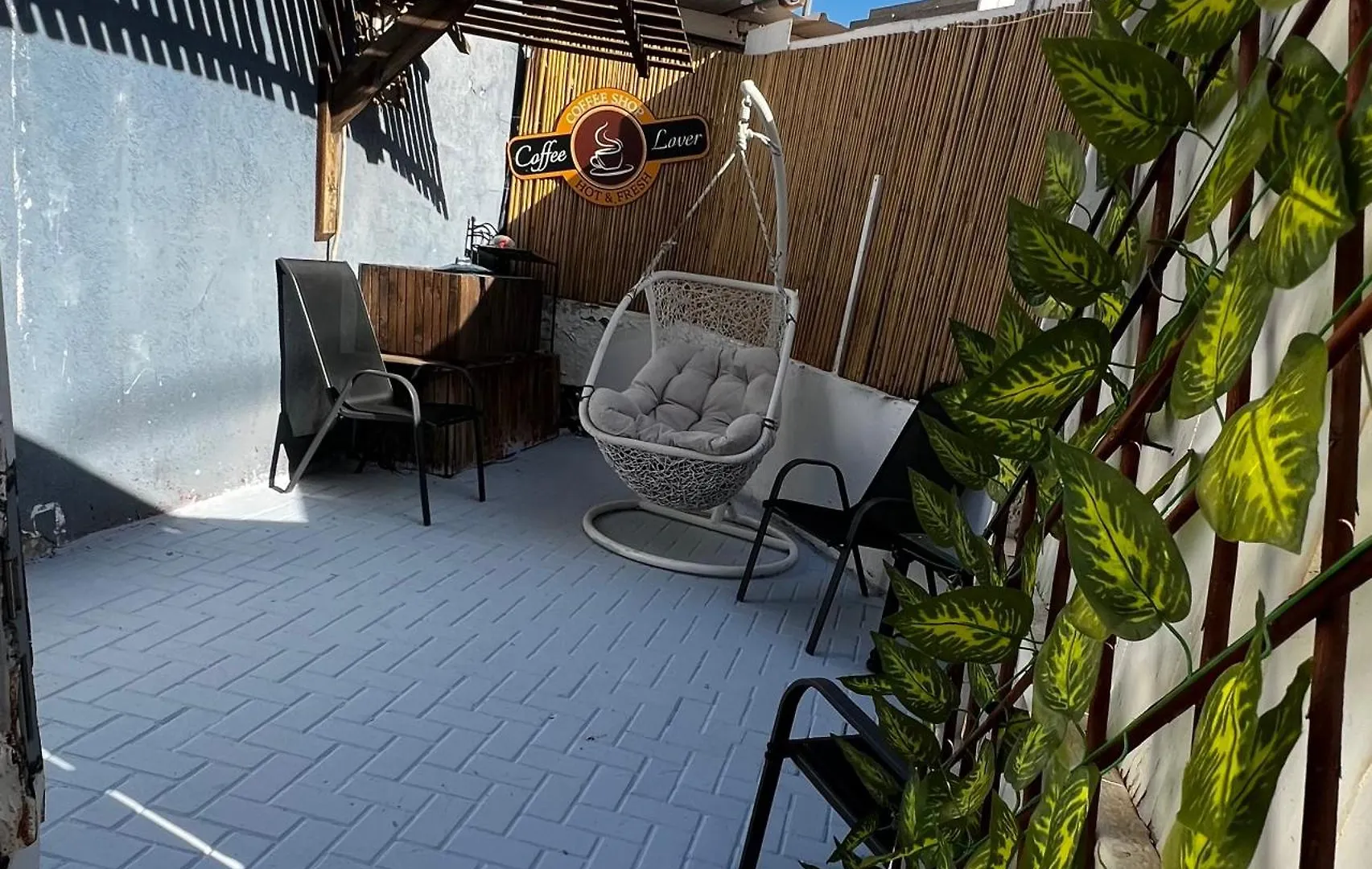 Maya Studio Eilat